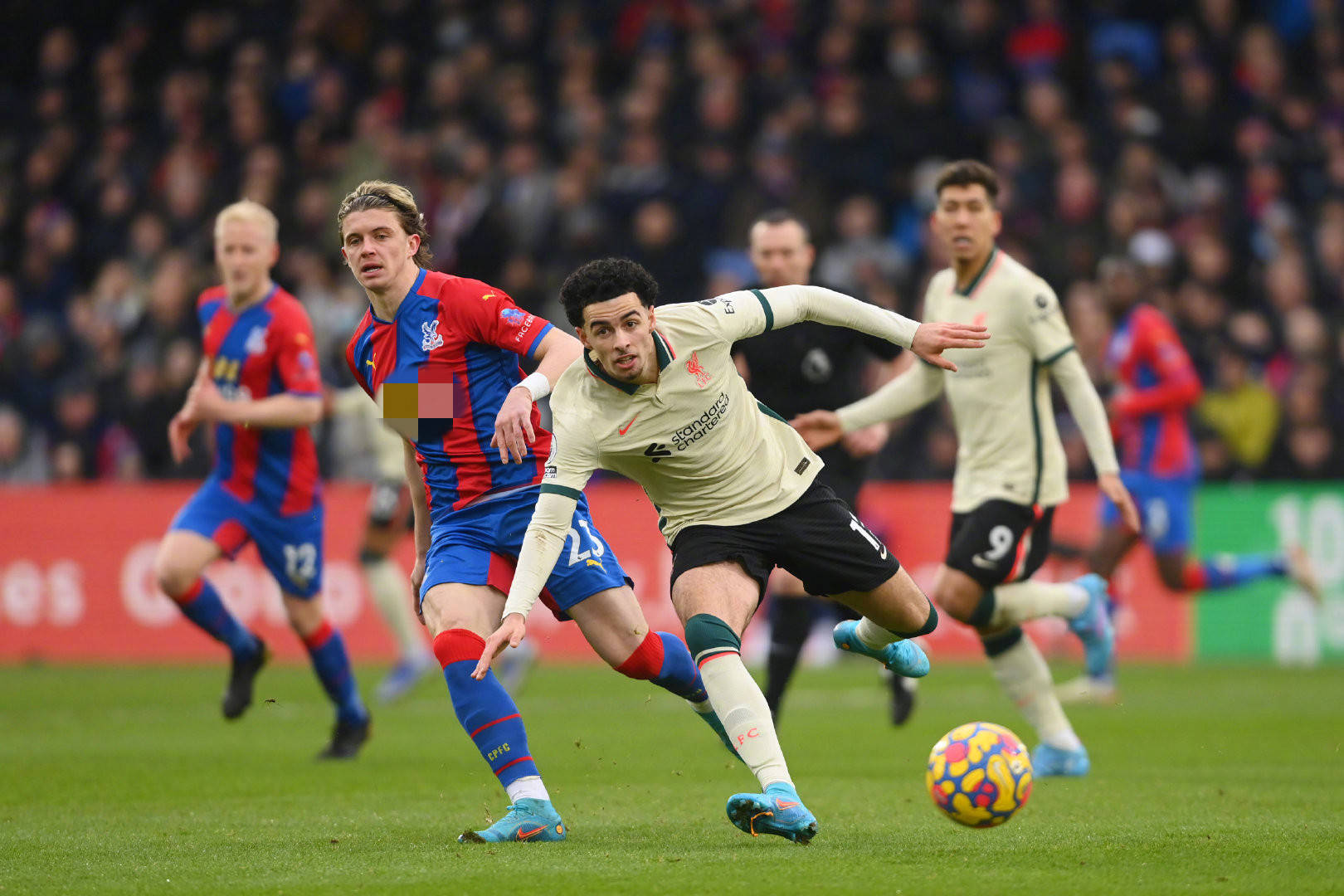 练中建立信 练中建立信