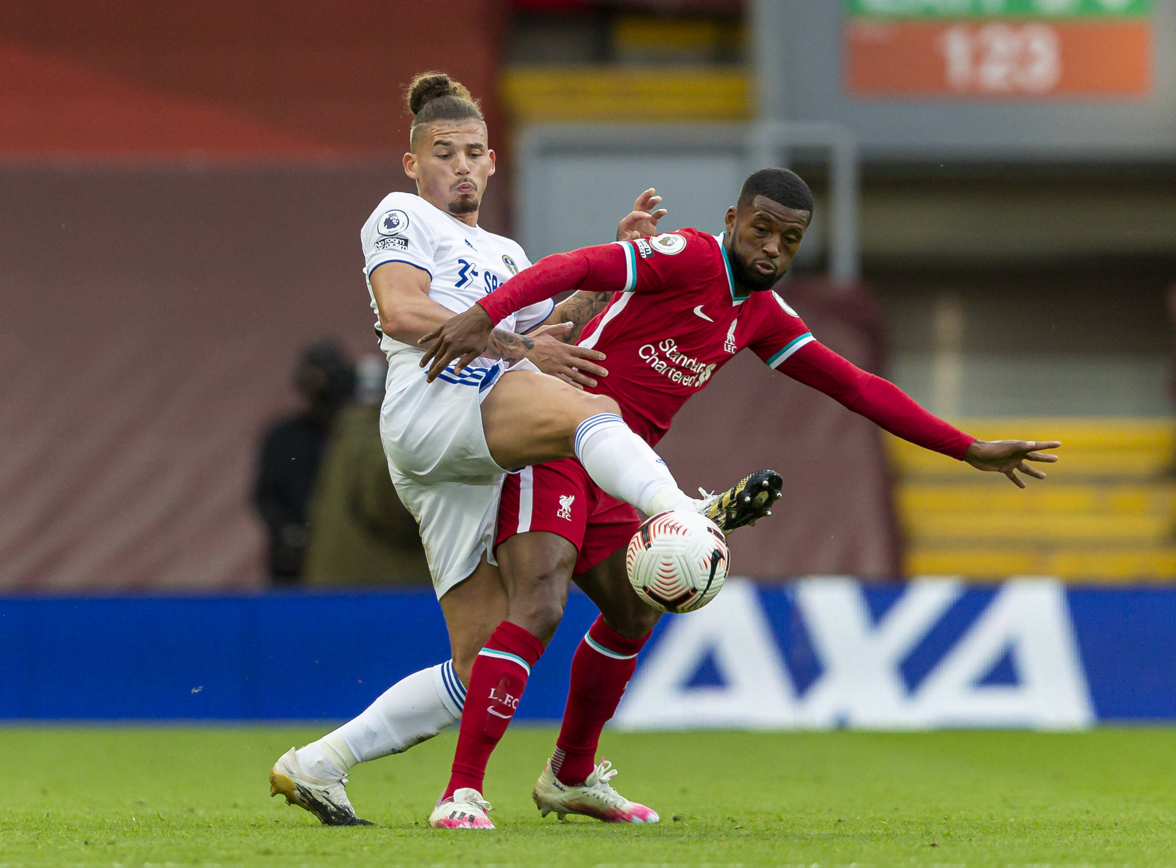 许多媒体和 许多媒体和